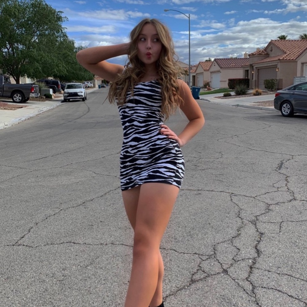 Zebra print body shaping dress